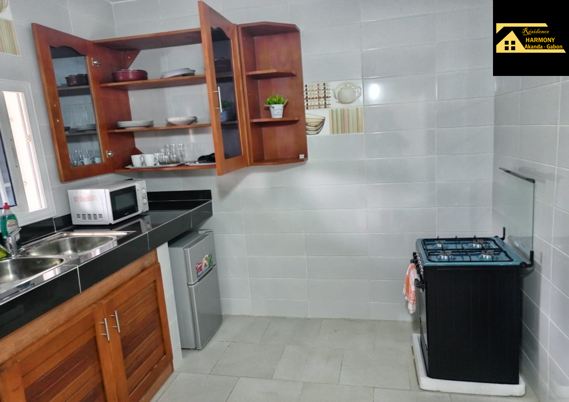 mini frigo et gazinière